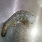 Best Headless Shrimp in Aberdeen, MD