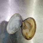 Best Clam in Aberdeen, MD